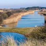 Mindful wandelen in de Kennemerduinen - Vogelenzangwandeling