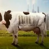 Eco Trip festival film in de Schuur: Food Inc. 2 