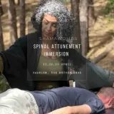 Spinal Attunement Immersion