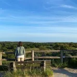 Magische Yoga avonden in de Kennemerduinen