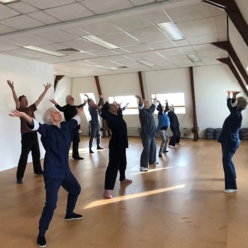 School voor Tai Chi Chuan ITCCA Haarlem